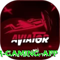 237n Premium Gaming App