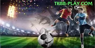 Descubra carvalhopg: Guia Prático Para Iniciantes e Experts - 🏆 apk